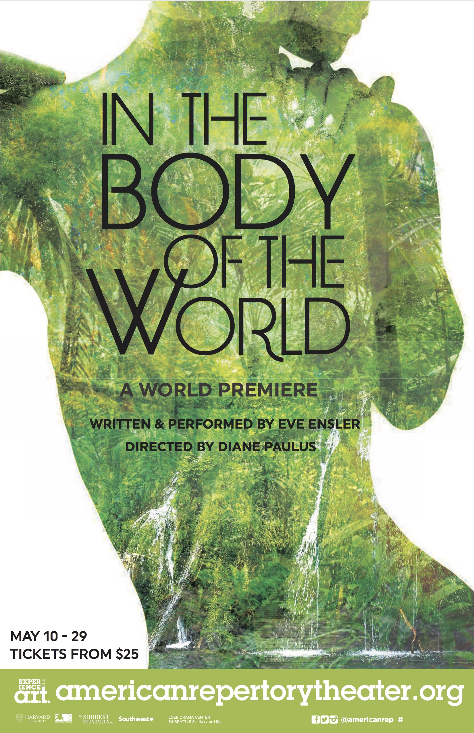 Green_Body_Op1.jpg